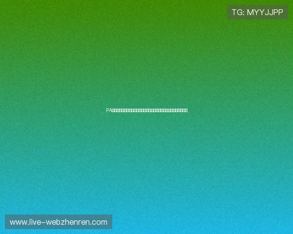 PA真人预测在世界杯期间的实时应用案例分享帮助球迷更好把握比赛动态